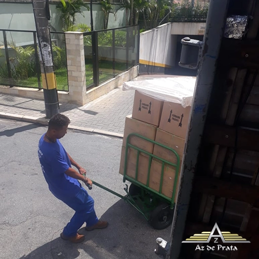 Empresa de Transporte para Mudanças em Alagoas