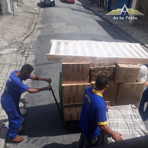 Mudanças e transporte profissional com segurança