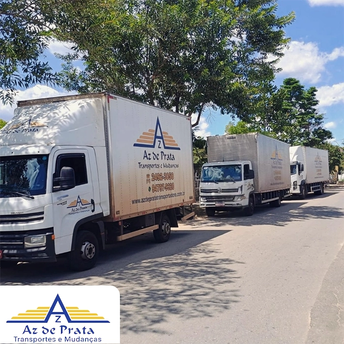 Transportadora de cargas com logística